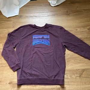 Patagonia Fitz Roy Crew neck organic cotton sweatshirt